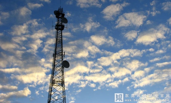 蜂窩數(shù)字移動(dòng)通信用塔(桿)，發(fā)生的增值稅進(jìn)項(xiàng)稅額可否抵扣?